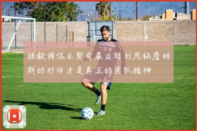 杨毅调侃东契奇最后时刻甩锅詹姆斯的妙传才是真正的团队精神