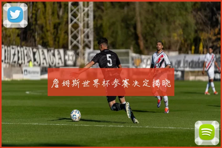 詹姆斯世界杯参赛决定揭晓
