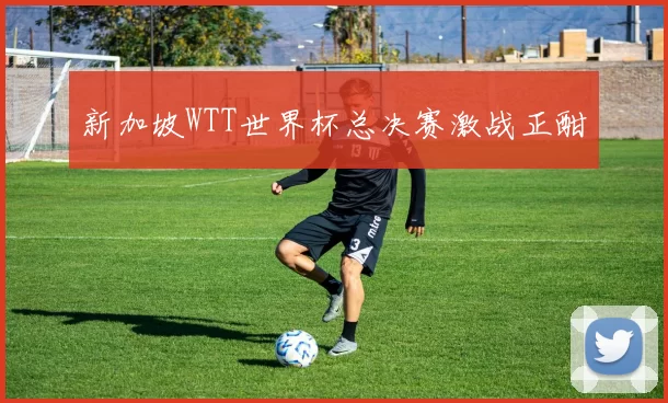 新加坡WTT世界杯总决赛激战正酣