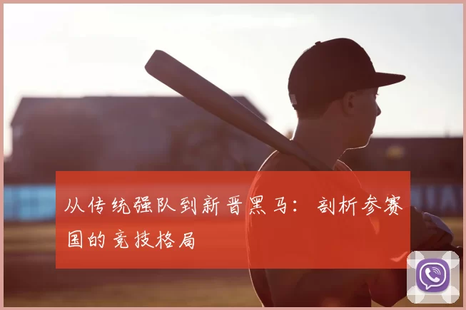 从传统强队到新晋黑马：剖析参赛国的竞技格局
