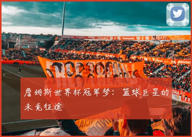 詹姆斯世界杯冠军梦：篮球巨星的未竟征途
