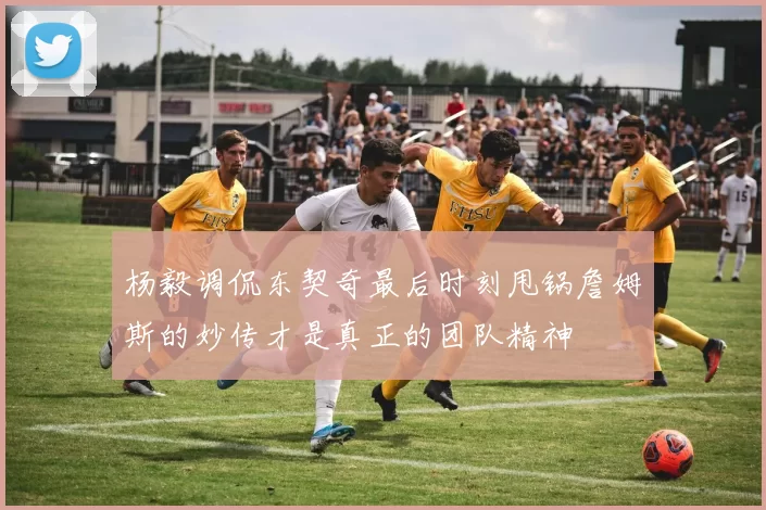 杨毅调侃东契奇最后时刻甩锅詹姆斯的妙传才是真正的团队精神