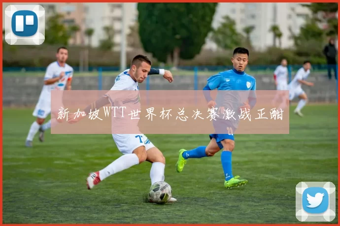 新加坡WTT世界杯总决赛激战正酣